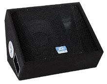 Peavey()I(y):TLM 2X Floor Monitor